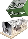 Rattenfalle Lebendfalle 30 cm Groß aus FSC® Holz - Tierfreundlich & Wiederverwendbar - Sofort Einsatzbereit - Für Ratten & Wühlmäuse